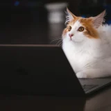 shopifyを見るパソコン